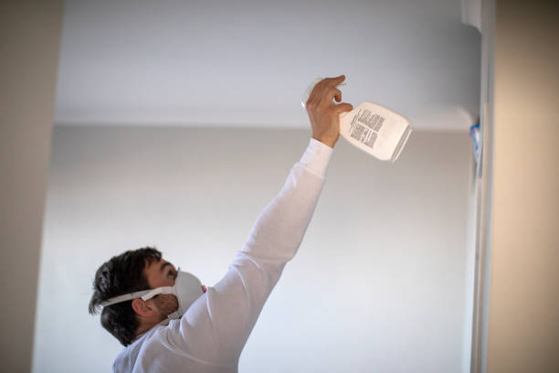 Best Mold Remediation for Schools in West Whittier Los Nietos, CA