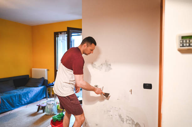 Best Attic Mold Remediation in West Whittier Los Nietos, CA